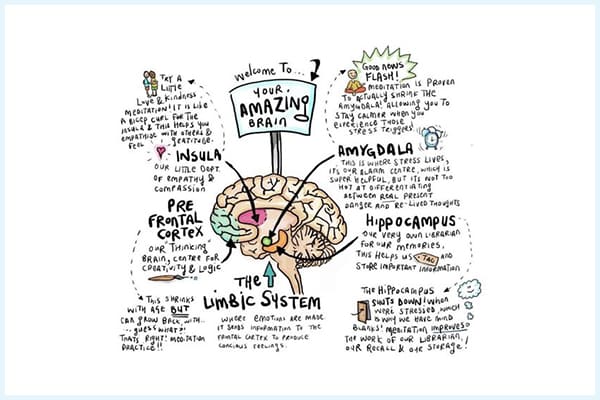 blog-Paula_Sampaio_Schmitt-Terapia_EMDR_Autorregulação-post1